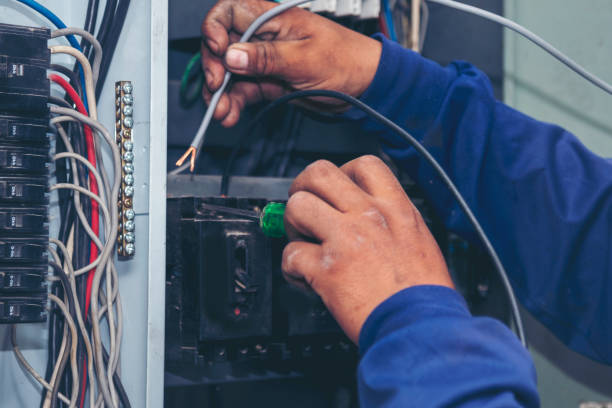 Best Electrical Upgrades for Homes  in Carrizo Springs, TX
